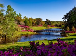 Spending time in a beautiful park