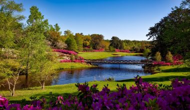 Spending time in a beautiful park